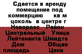 Сдается в аренду помещение под коммерцию 133 кв.м. (цоколь) в центре г. Новоросс › Район ­ Центральный › Улица ­ Лейтенанта Шмидта › Дом ­ 1 000 › Общая площадь ­ 133 › Цена ­ 50 000 - Краснодарский край, Новороссийск г. Недвижимость » Помещения аренда   